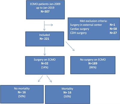 Surgery in Neonatal and Pediatric ECMO Patients Other Than Congenital Diaphragmatic Hernia Repair: A 10-Year Experience